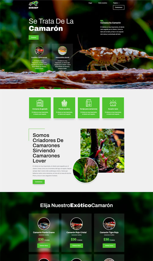 plantilla-diseño-pagina-web-comida-camarone