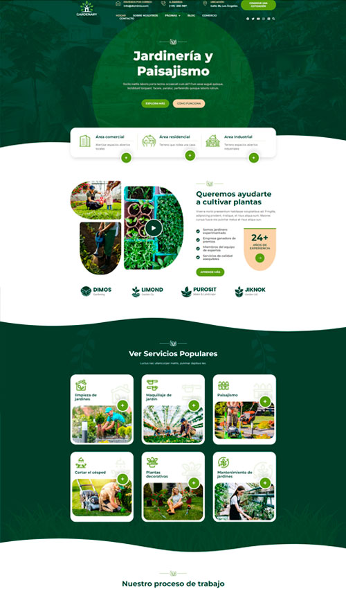 plantilla-diseño-pagina-web-jadines