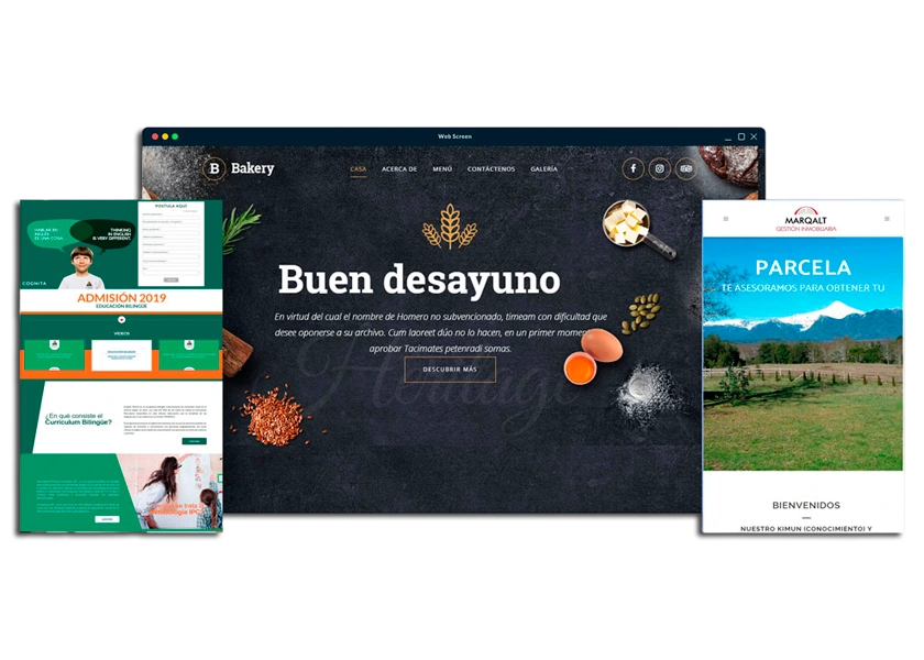 desarrollo y diseño web temuco