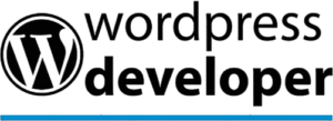 Comparación Woocommerce o Shopify para Chile 1 wordpress